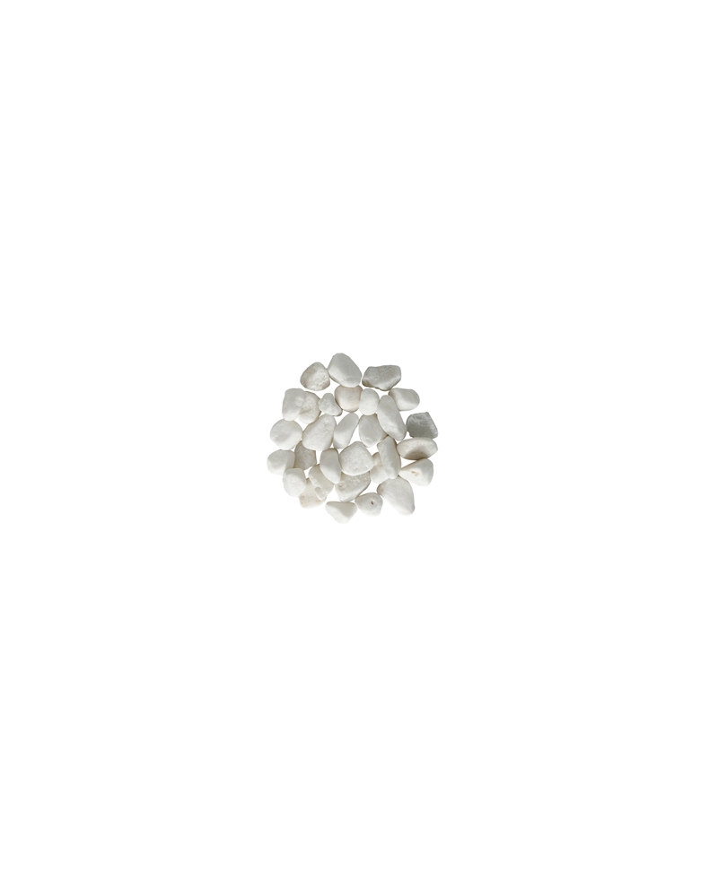S051004